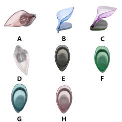 Sponge Holder Suction Cup Self-draining Dish Shower Sink Sponges Tray