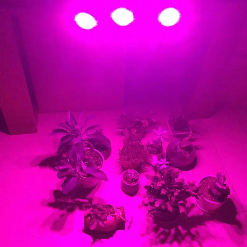 Description Picture 2 of item3 Head 36 54 72 LED plant flower lamp growing light for indoor green house tent growbox hydro flower room growing lights U26