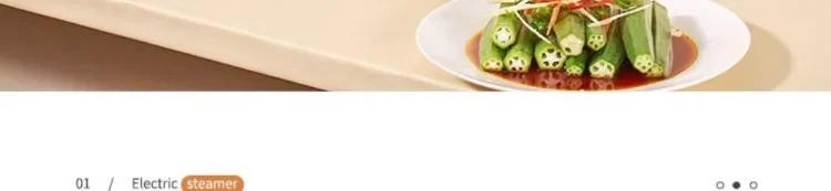 Description Picture 3 of item110V/220V Electric Steamer Pot Large Capacity Multifunctional with Delay Timer Steam Cook Stew