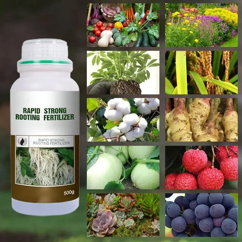 Description Picture 3 of itemRapid Strong Rooting Fertilizer Plant Universal Rooting Agent Cuttings with Powerful Strong Rooting Powder Agent for Home Garden