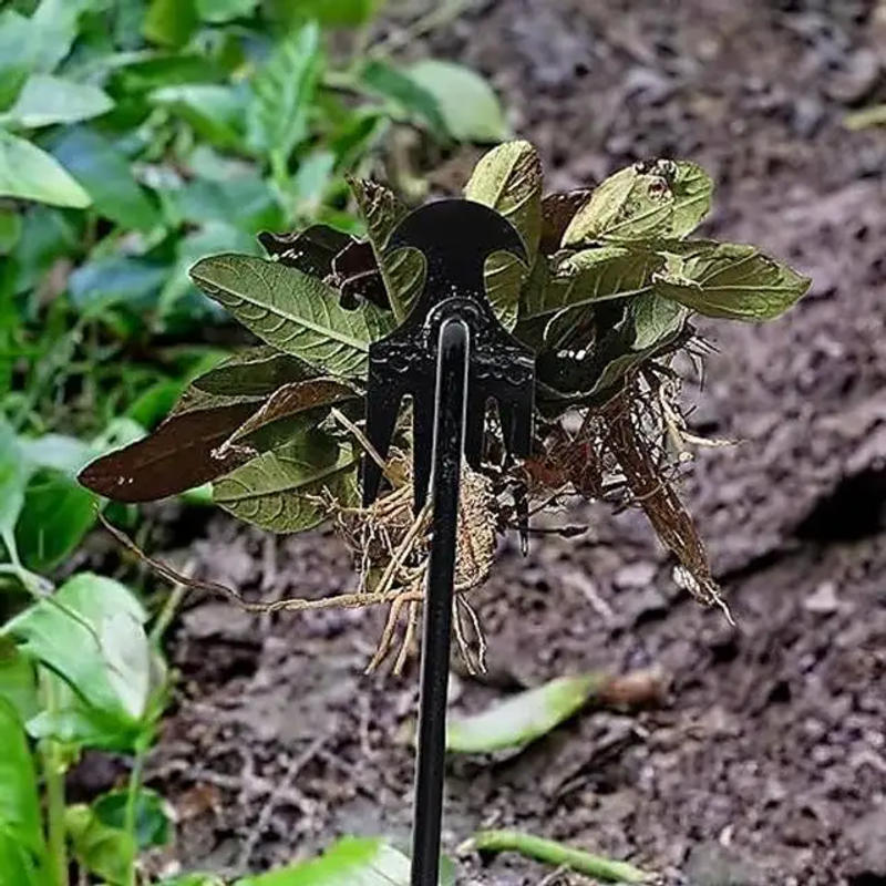 Description Picture 3 of item4 Teeths - Multifunctional Hand Weeder for Garden - Durable & Portable Garden Weeding Tool for Vegetable Gardening & Farm Planti