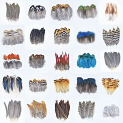 Natural Pheasant Feathers for Crafts Peacock Feathers Craft Feather Decor Wedding Accessories Plume Plumas Carnaval Decoration