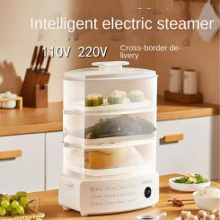 110V/220V Multi-layer Electric Food Steamer for Healthy Cooking and Steaming Vegetables with Automatic Power-off Function