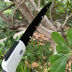 Slide image cbdd7370914749508a8159e5ac65eda4