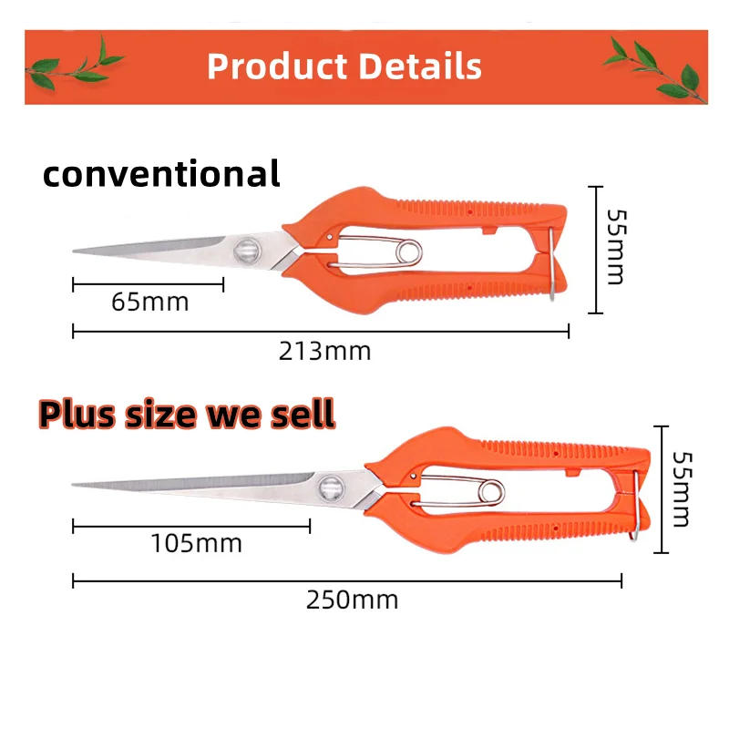 Description Picture 4 of itemPlus size Fruit Picking Scissors Stainless Steel Gardening Tool Scissors Fruit Picking Fruit Thinning Pruning Shears Tools