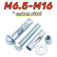 M10x65-2pcs