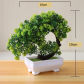 yueyahehua green
