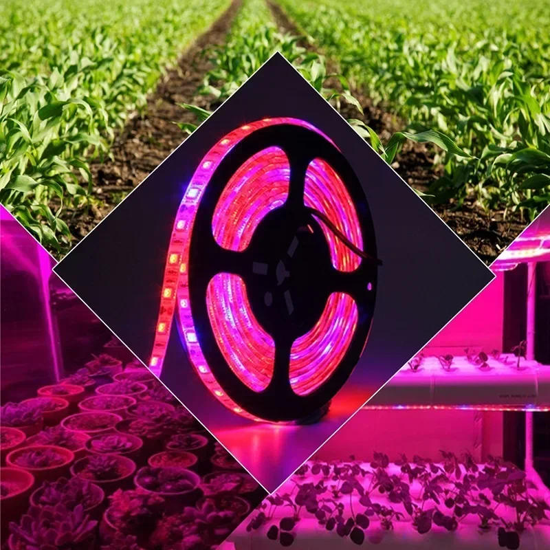 Description Picture 5 of itemIndoor Plant Lamp Phyto Uv USB 5v Grow Light Strip Horticultural Led Lights Lighting Hydroponics Plants Phytolamp Growing Parts