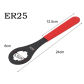 ER25