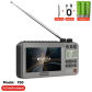 F50 4.3-inch Gray