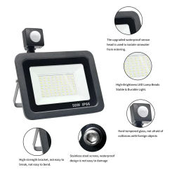 Hot Sell 10W 20W 30W 50W 100W Induction Led Flood Light with Adjustable PIR Sensor Floodlight Street Square Outdoor Lighting