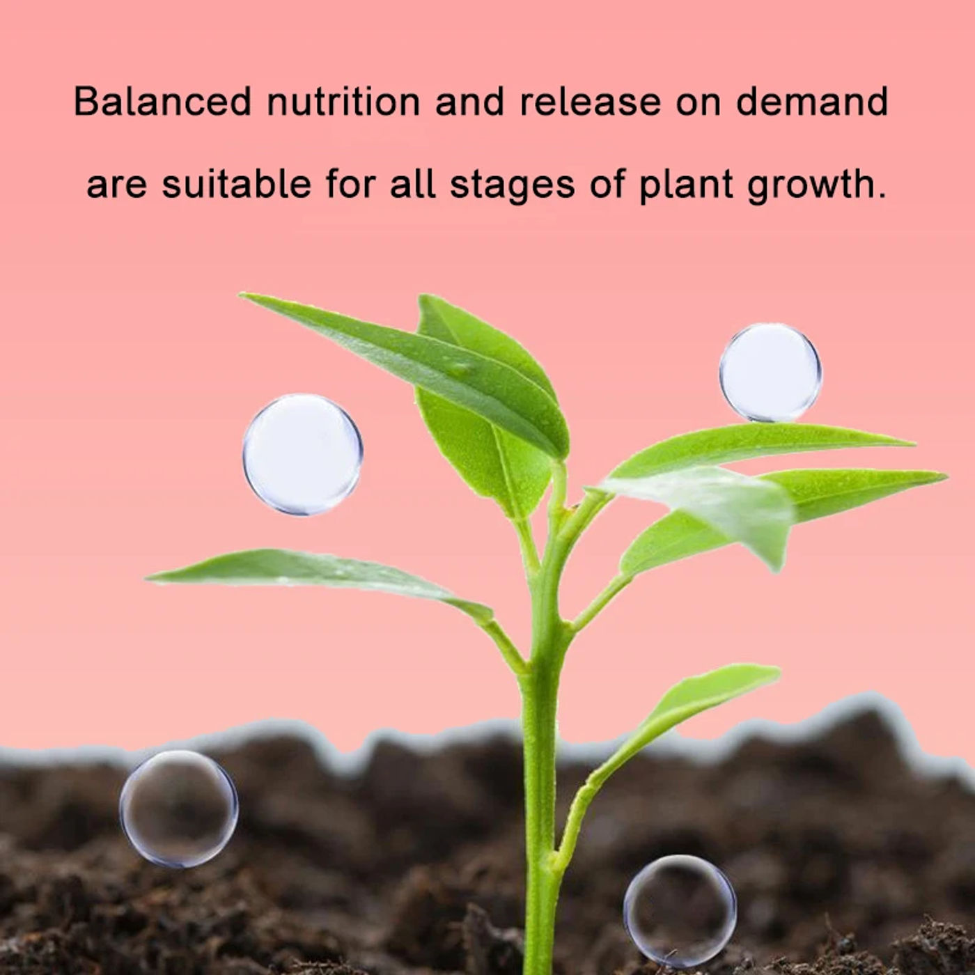 Description Picture 6 of item1Bottle Gardening Universal Slow-Release Tablet Organic Fertilizer Plant Nitrogen Phosphorus Potassium Slow Release Agent