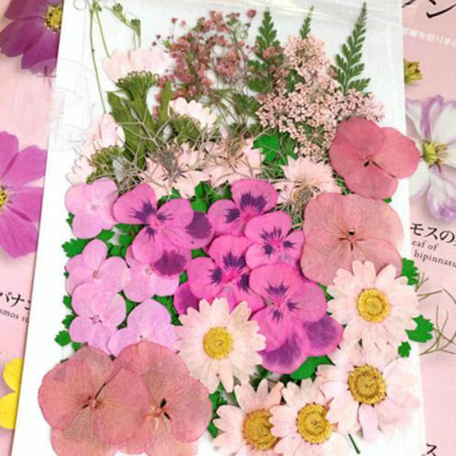 Description Picture 5 of item50pcs Mixed Dried Pressed Flowers Plant Herbarium For Jewelry Postcard Invitation Card Phone Case Art&Craft Making 7 Colors Pick