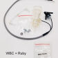 WBC and Ruby