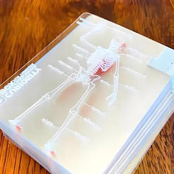 3D Image Educational Cards Reusable Funny Anatomy Poker Multi-Purpose Body Transparent Playing Cards for Anatomy Enthusiasts