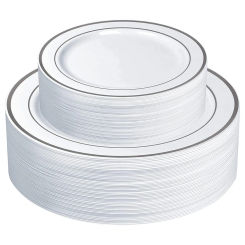25/10PCS Silver Plastic Plates-Disposable Plastic Plates with Silver Rim- Wedding Party Plates Dinner Plates /Salad Plates