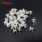 100pcs