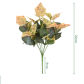 Cotyledon