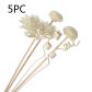 5pc TT2312897