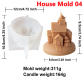 house mold 04