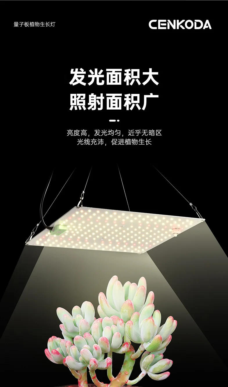 Description Picture 3 of itemLED plant growth lamp full spectrum quantum board indoor greenhouse hydroponic flower seed vegetable growth box cultivation lamp