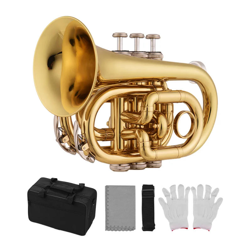 Description Picture 6 of itemMini Pocket Trumpet Bb Flat Brass Material Wind Instrument with Mouthpiece Gloves Cleaning Cloth Carrying Case
