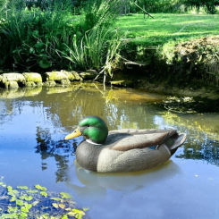 Fishing Hunting Decoy Plastic Duck Decoy Drake with Weighted Floating Keel