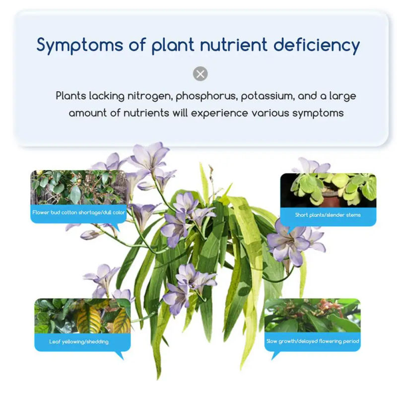 Description Picture 5 of itemHouse Plant Fertilizer Indoor Plant Food Fertilizer Universal Plant Root Stimulator Portable House Plant Fertilizer for Indoor