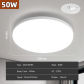 50W White B