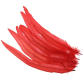 Red feathers