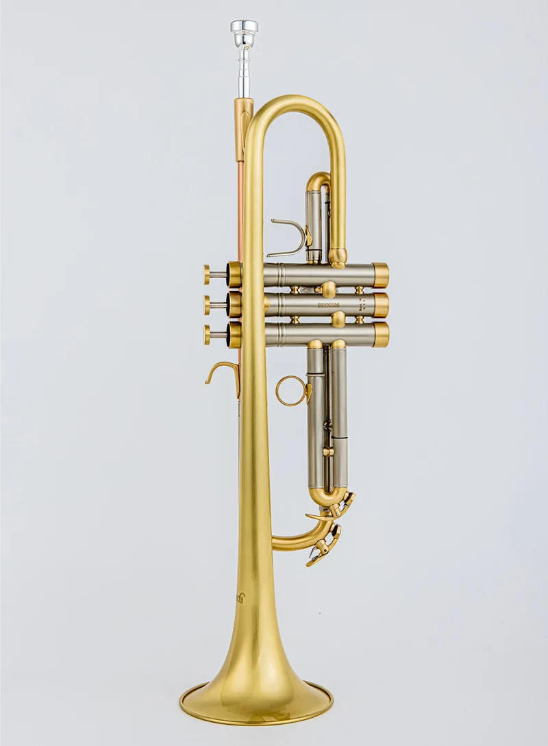 Description Picture 5 of itemLR180S37 Trumpet Bb Flat Brass Gold-painted Exquisite Durable Brass Musical Instrument with Trumpet Mouthpiece Gloves Strap Case
