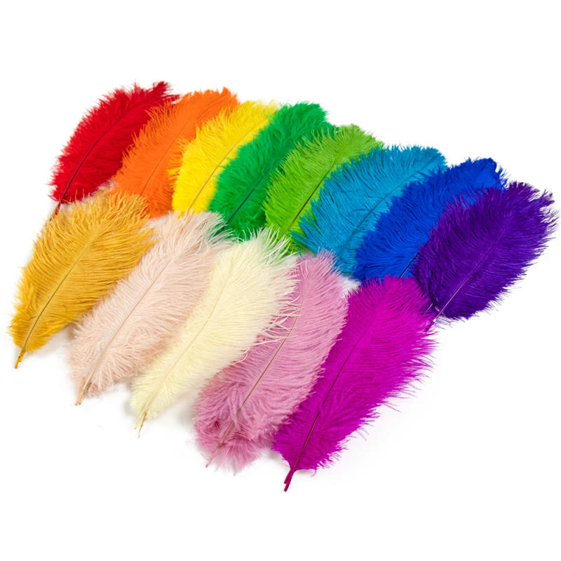 Description Picture 3 of item10PCS Colored Ostrich Feathers 15-60cm for Crafts Carnival Wedding DIY Table Center Decor Fluffy Ostrich Plumas Accessories Bulk