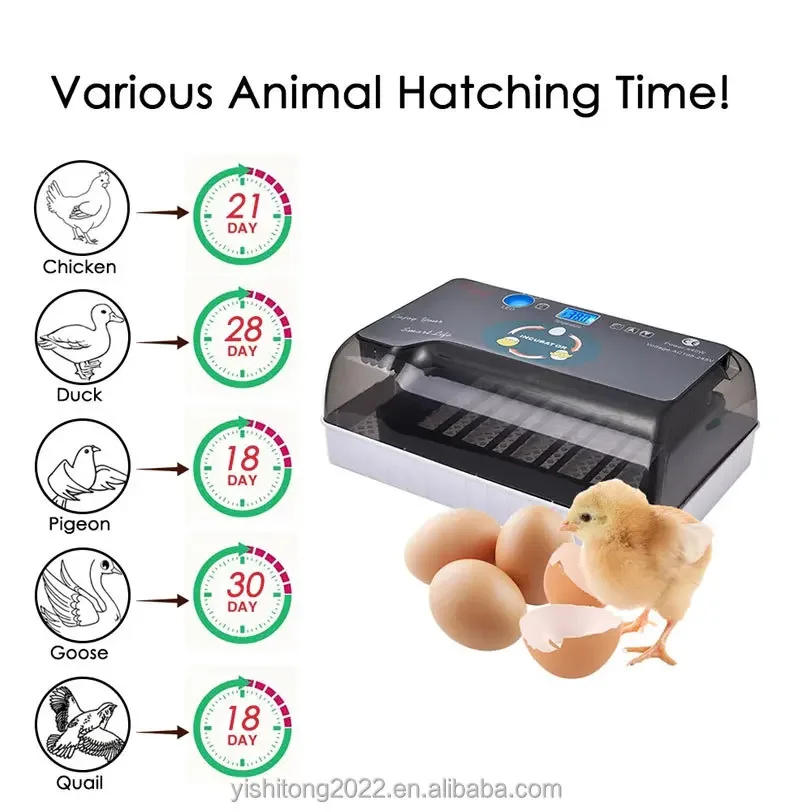 Description Picture 4 of itemHot Multifunctional 36 Eggs Mini Egg Incubator Automatically Chicken Duck Goose Quail Egg Hatching Machine
