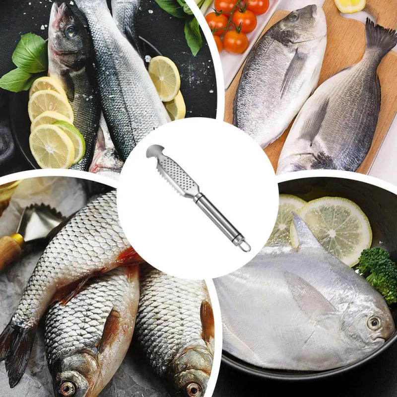 Description Picture 6 of itemFish Scale Remover Stainless Steel Fish Scraper With Ginger Grater Design Fish Cleaning Tool For Kitchen Seafood Markets