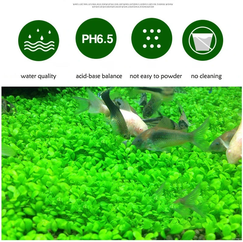 Description Picture 3 of itemFish Tank Water Grass Mud Plant Seed Soil Aquarium Bottom Sand Nutrient Soil Black Mud Water Grass Tank Bottom Soil Fertilizer