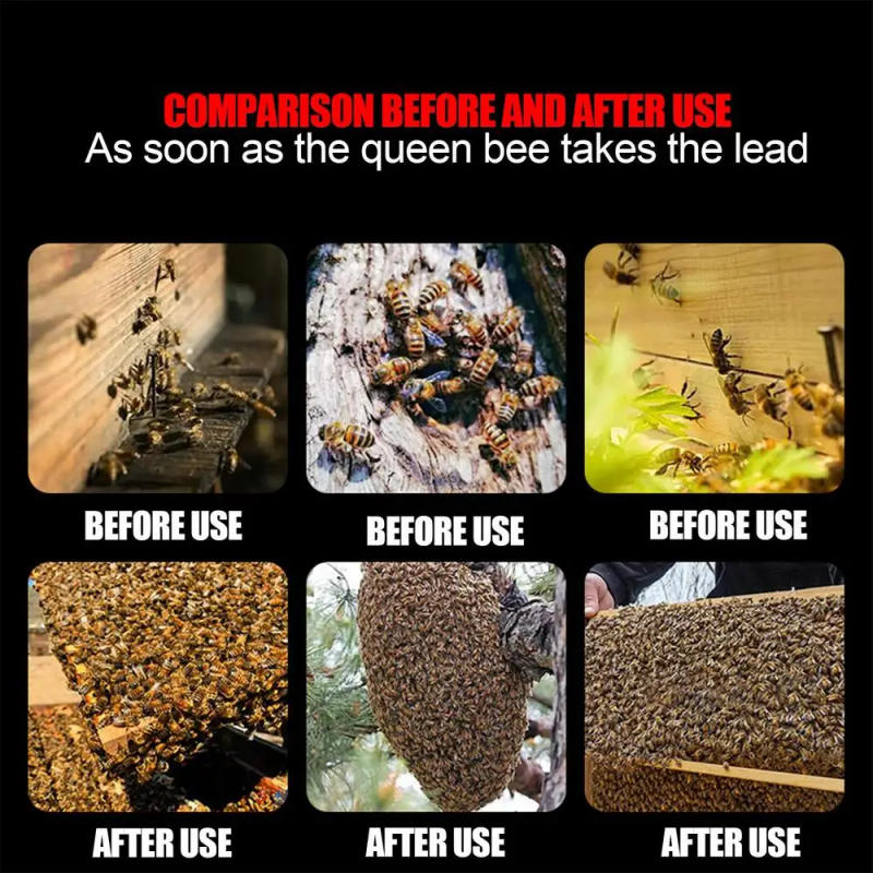 Description Picture 5 of itemCarpenter Bee Bait Multipurpose Carpenter Attractant Lure 100ml Effective User-Friendly Bee Lure Portable Bee Bait For Bee ï»¿