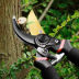 Slide image 074725ba1ba44c4b8bf739fcb33be565