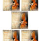 Violin AV11 5 Set