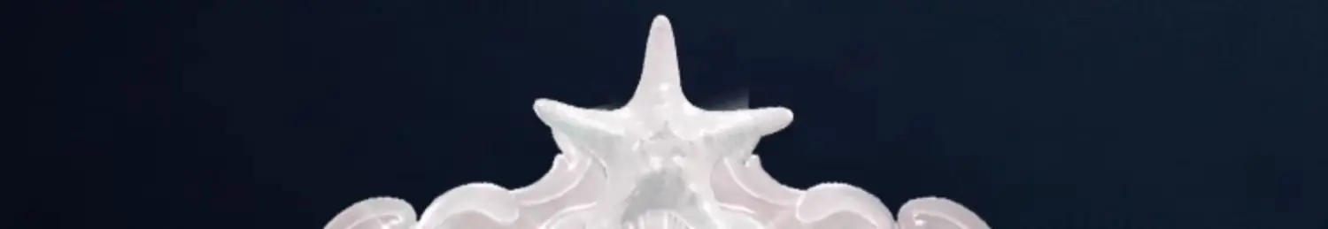 Description Picture 4 of itemFlower Knows Shell Pearl  Series Blush Brush Wool Loose Powder Highlighter Brushes