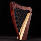 23 strings