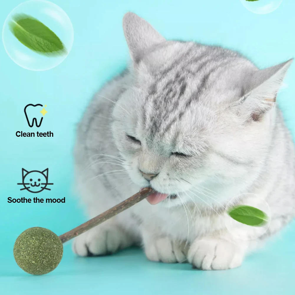 Description Picture 4 of itemCute Shape Freshen Catnip Ball Toy Cat Licking Playing Snacks Cat Mint Breath Mint Lollipop Toy Cat Supplies Pet Digesting Tool