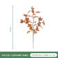 SJ-SFY-KS-A07406