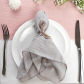 smoky gray 10pcs