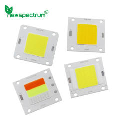 DC 3V 12V 24V 30V LED COB Chip 4W 18W 20W 30W 50W for Spotlight Diode LED Module Solar Light Floodlight Lamp Source