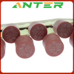10PCS Round Fuse Slow Blow 500mA 1A 2A 2.5A 3.15A 4A 5A 6.3A 8A 10A 250V 382 Plastic T2A LCD TV Power Board