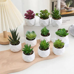 Mini Artificial Succulent Bonsai Plants Simulation Evergreen Artificial Succulent Small Potted Plants Home Ornaments Decoration