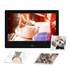 7 inch Screen LED HD IPS 800x480 Digital Photo Frame Electronic MP3 Music MP4 Movie Player Smart Digital Picture Frame Gift