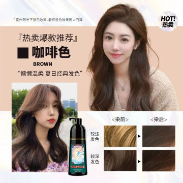 3 in 1Shampoo Plant Hair Dye Household Can Cover White Hair Bubble Dyeing Shampoo Tratamiento Para La Caspa