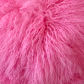 Bright Pink