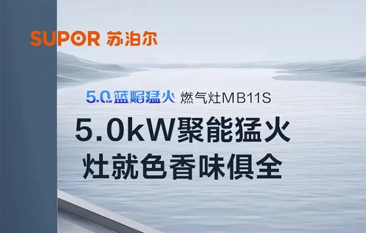 Description Picture 2 of itemSUPOR Gas Stove Double Burner Built in Household Kitchen Stove for Natural Gas LPG AB